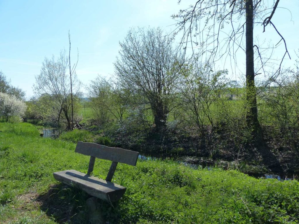 banc-551