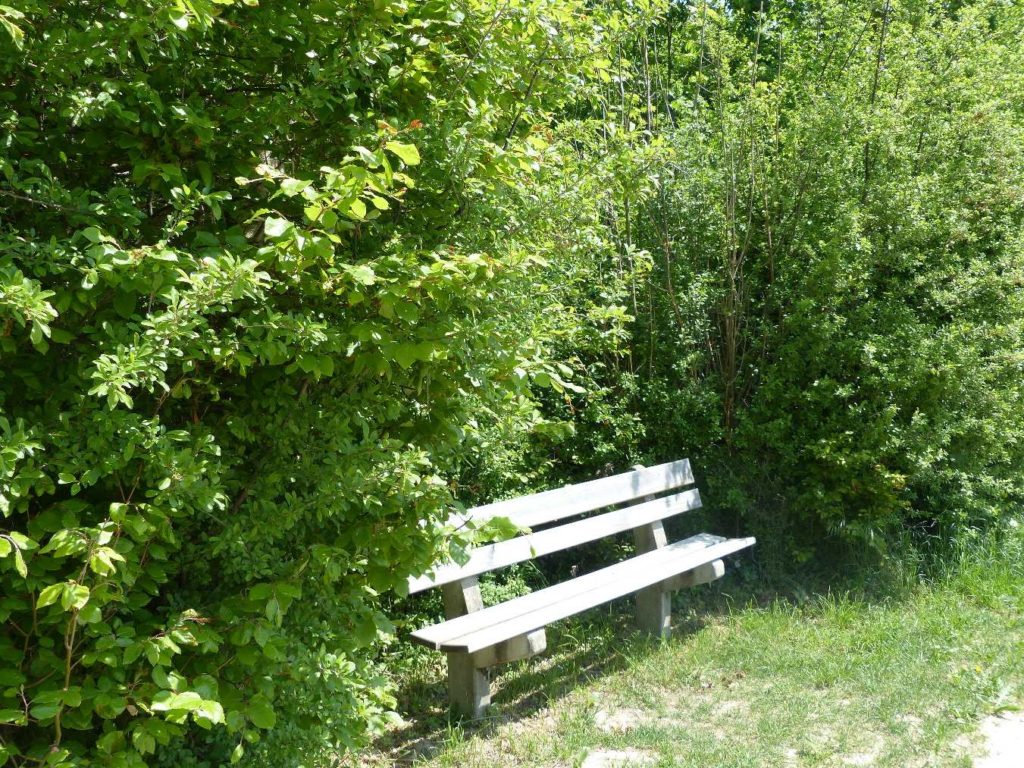 Bargen, Bargeholz, Kallnach, Challewald, Aegelseegraben, Kerzers