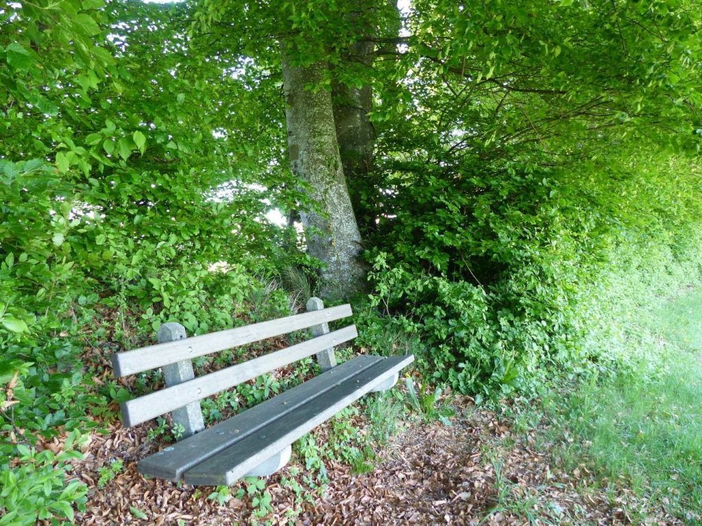 banc-564