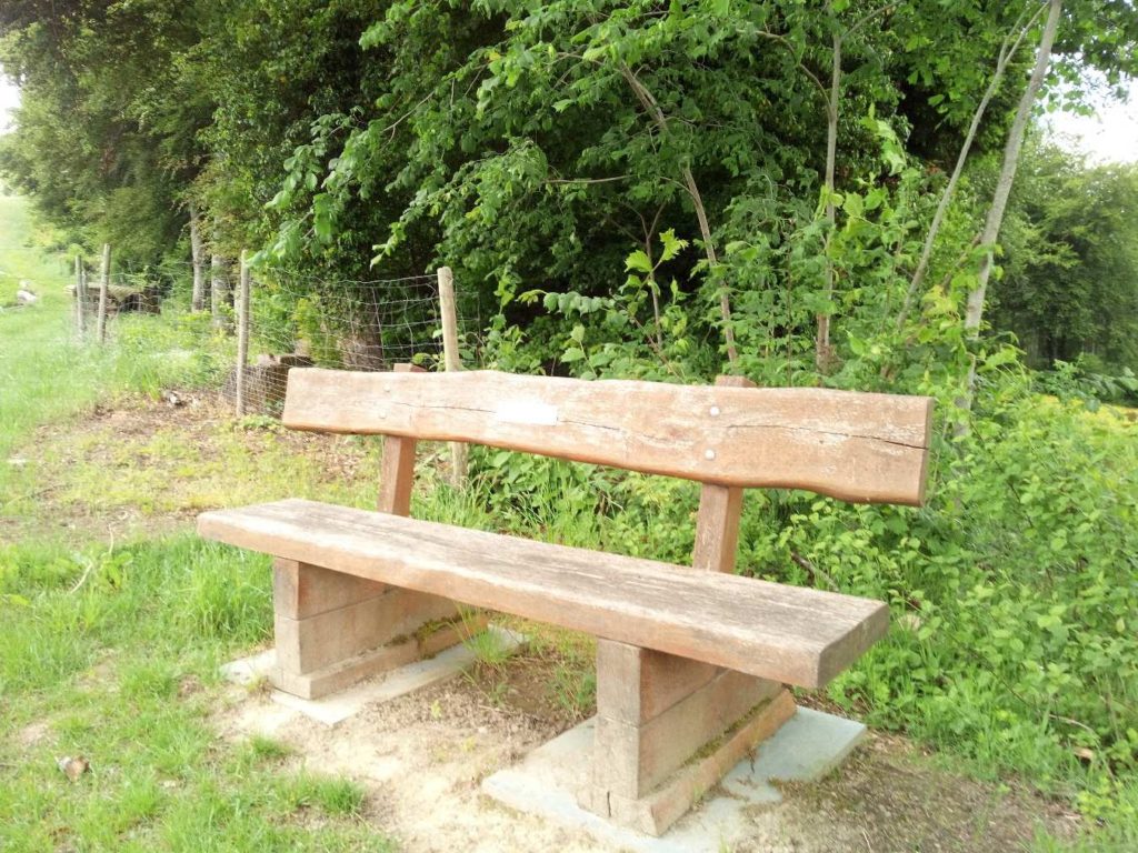 banc-565