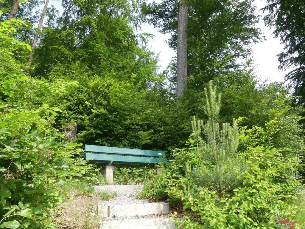 banc-566