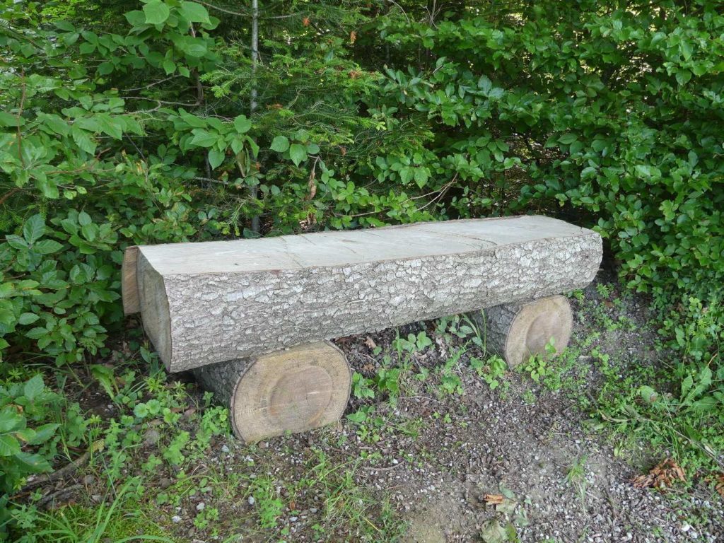 banc-569