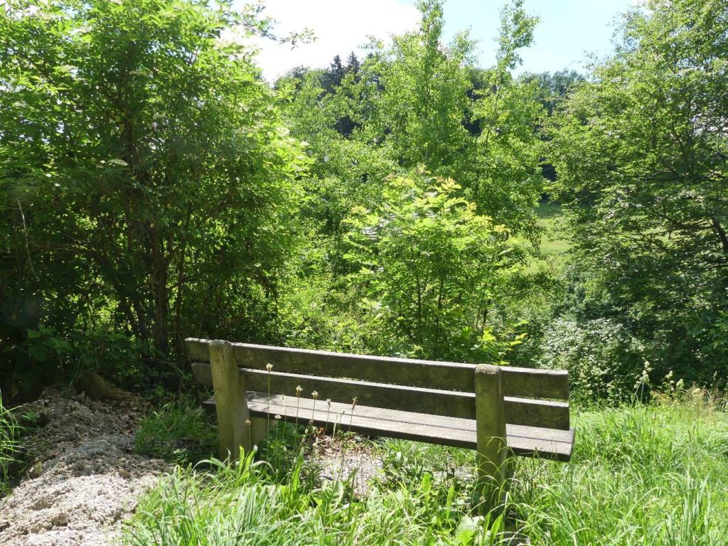 banc-570