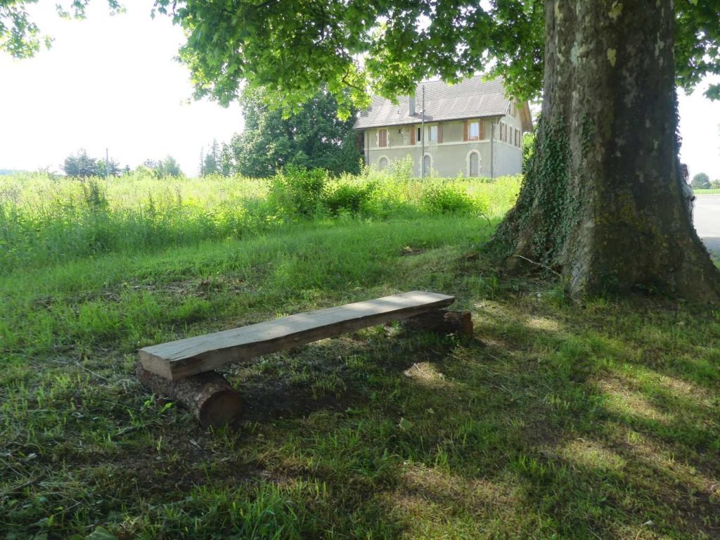 banc-575