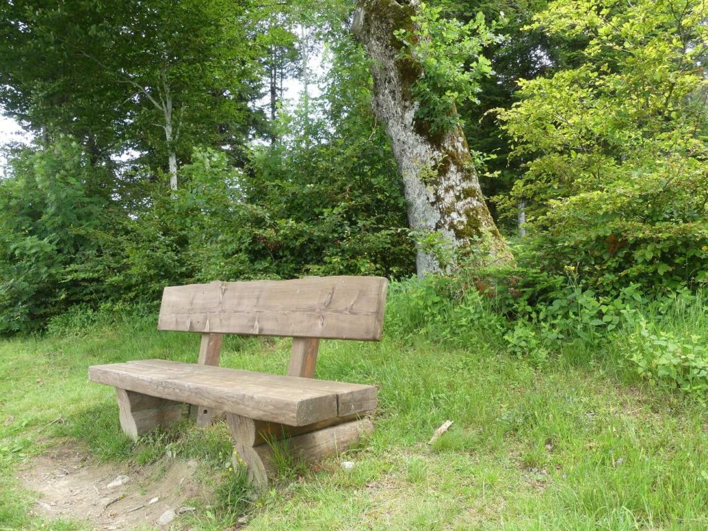 banc-578