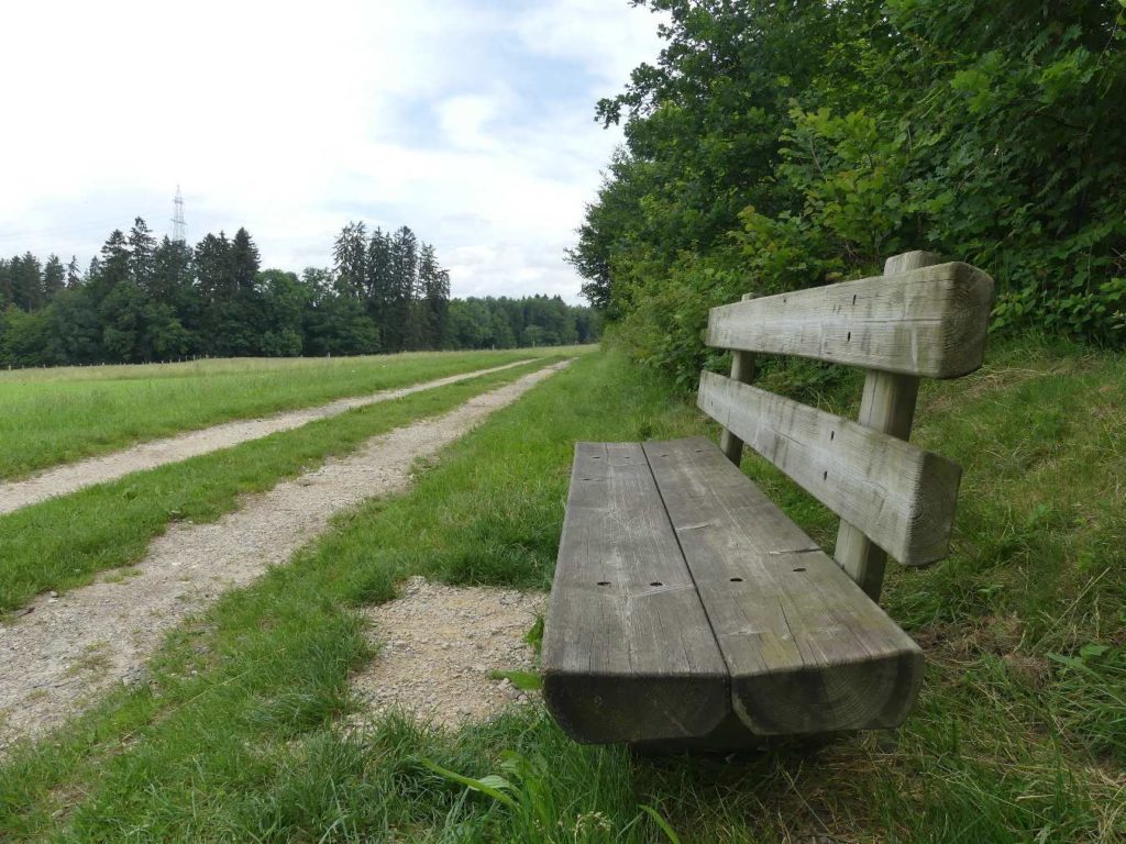 banc-579