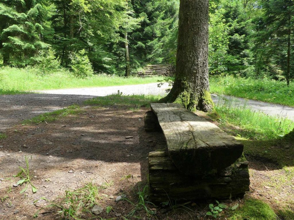 banc-583