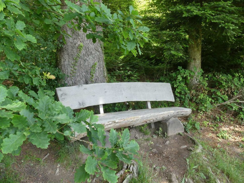 banc-584