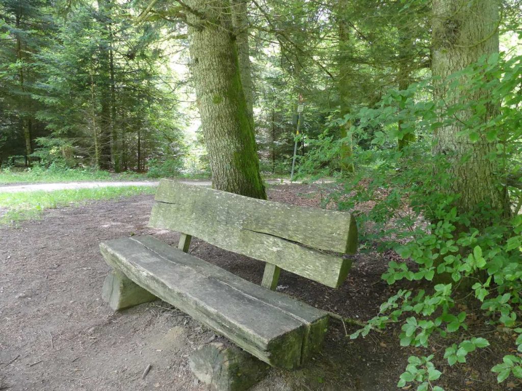 banc-586