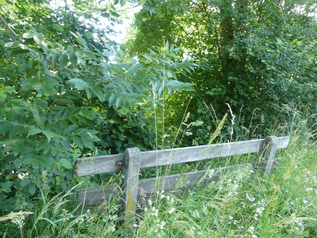banc-588
