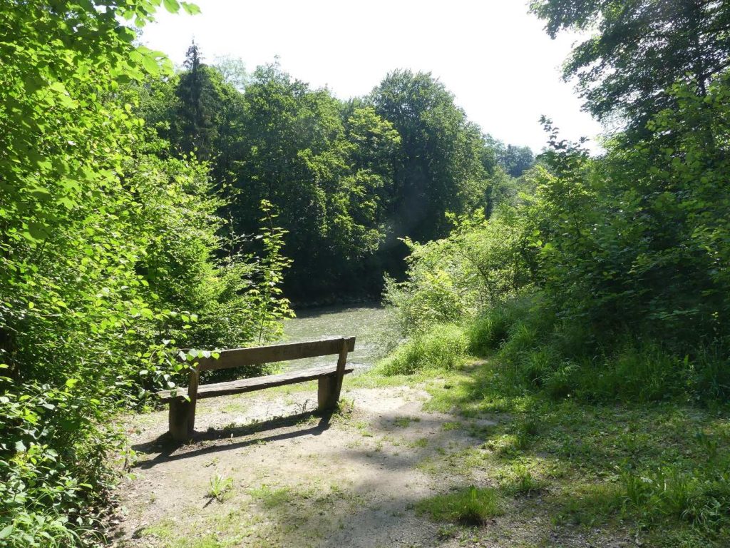 banc-594