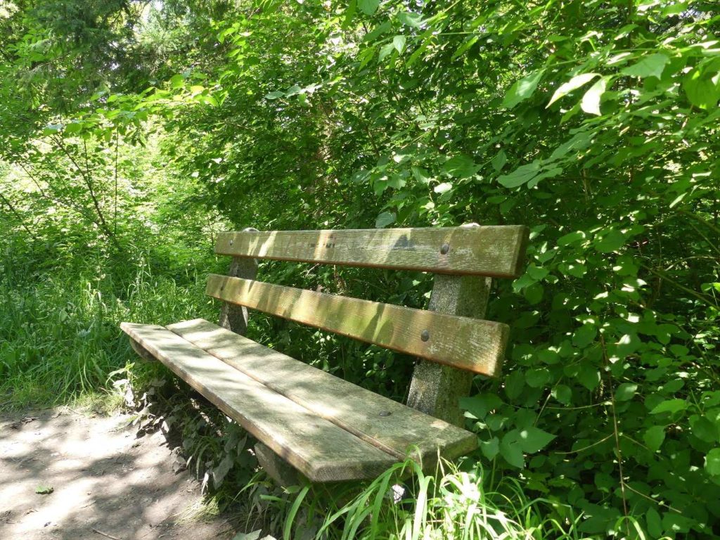 banc-596