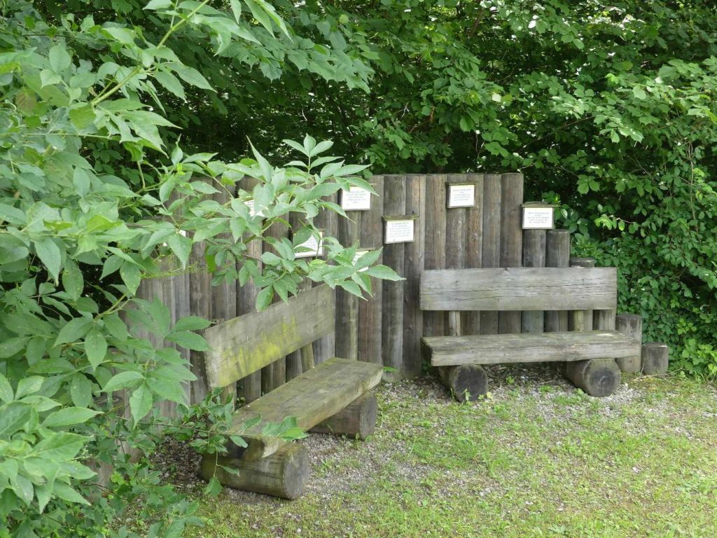 banc-599