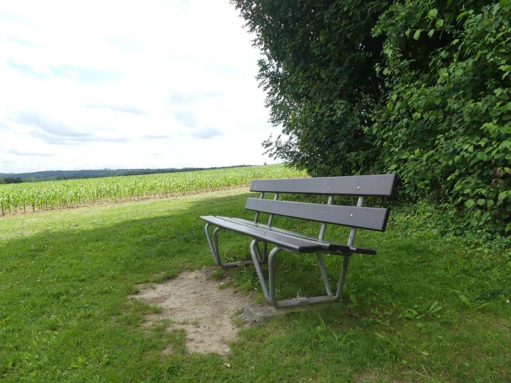 banc-605