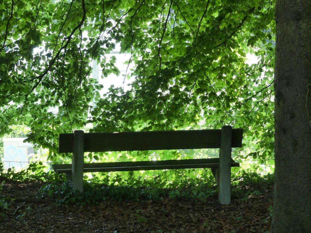 banc-607