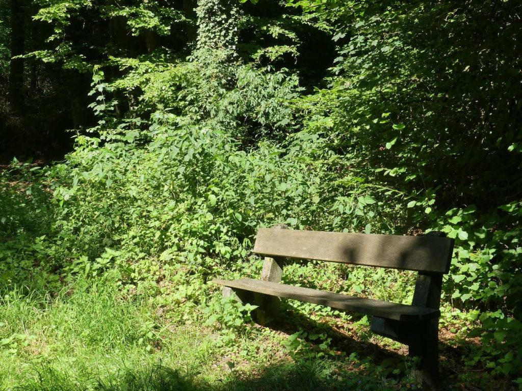 banc-608