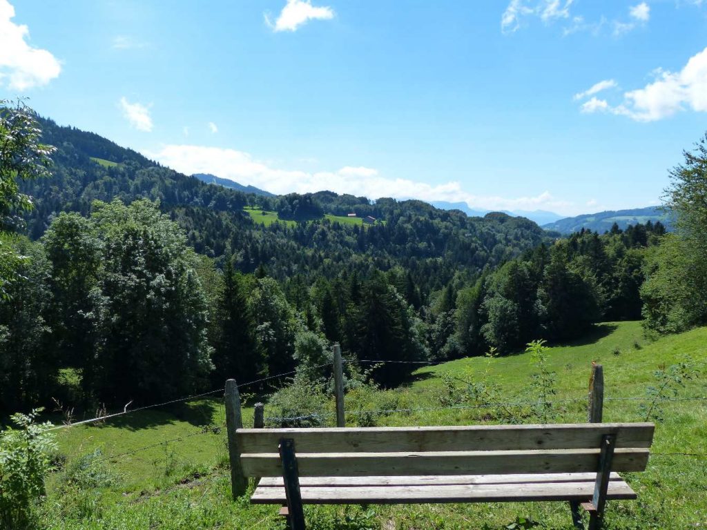 banc-61