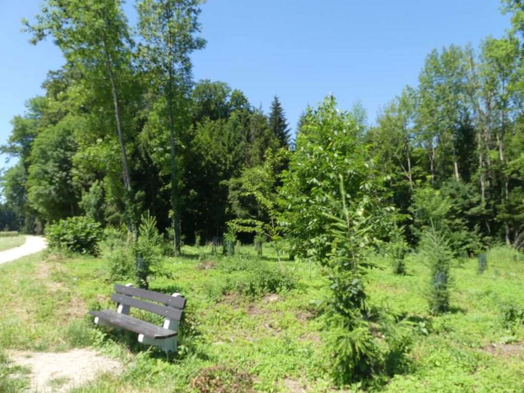 banc-613