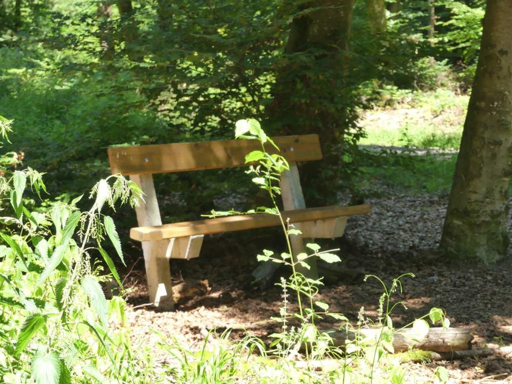 banc-617