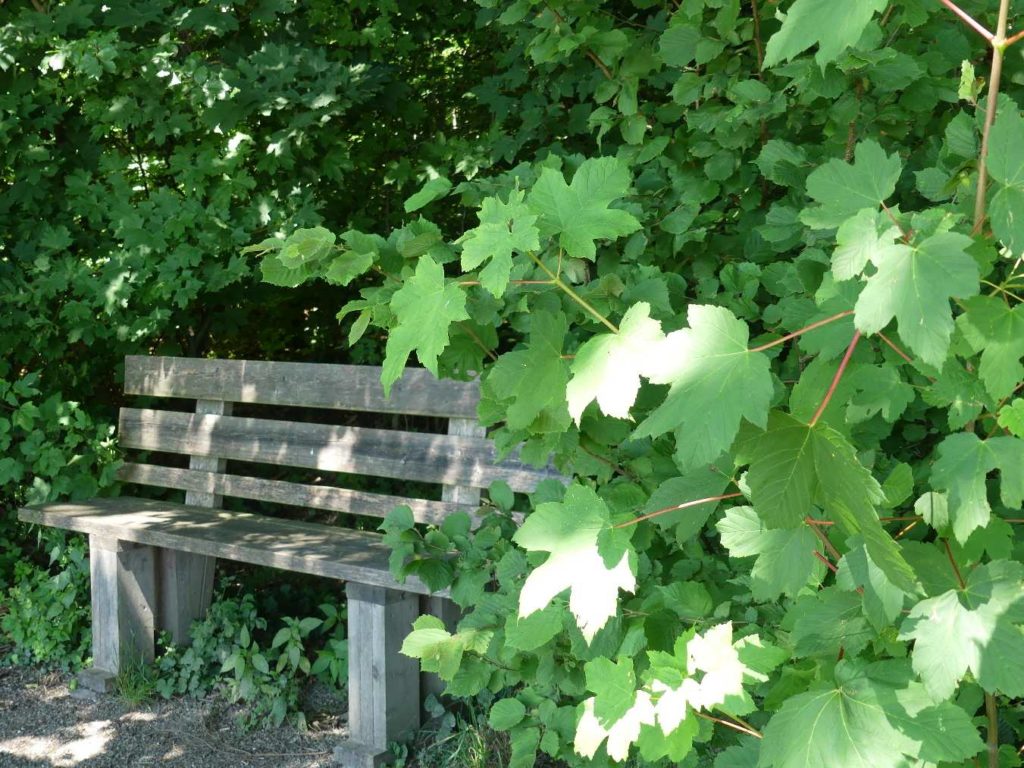 banc-618