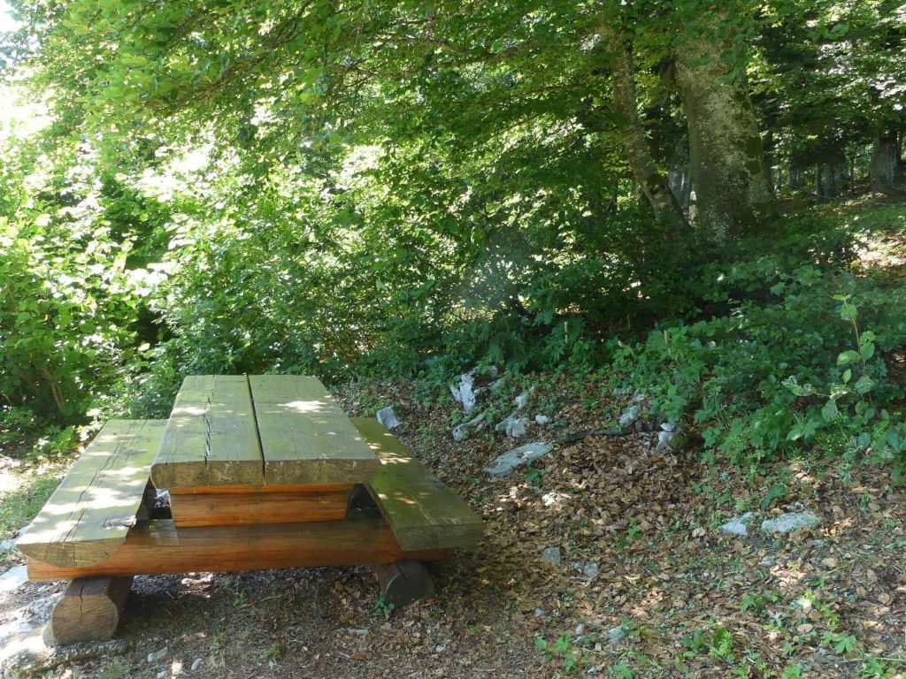 banc-619