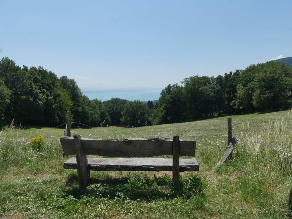 banc-628