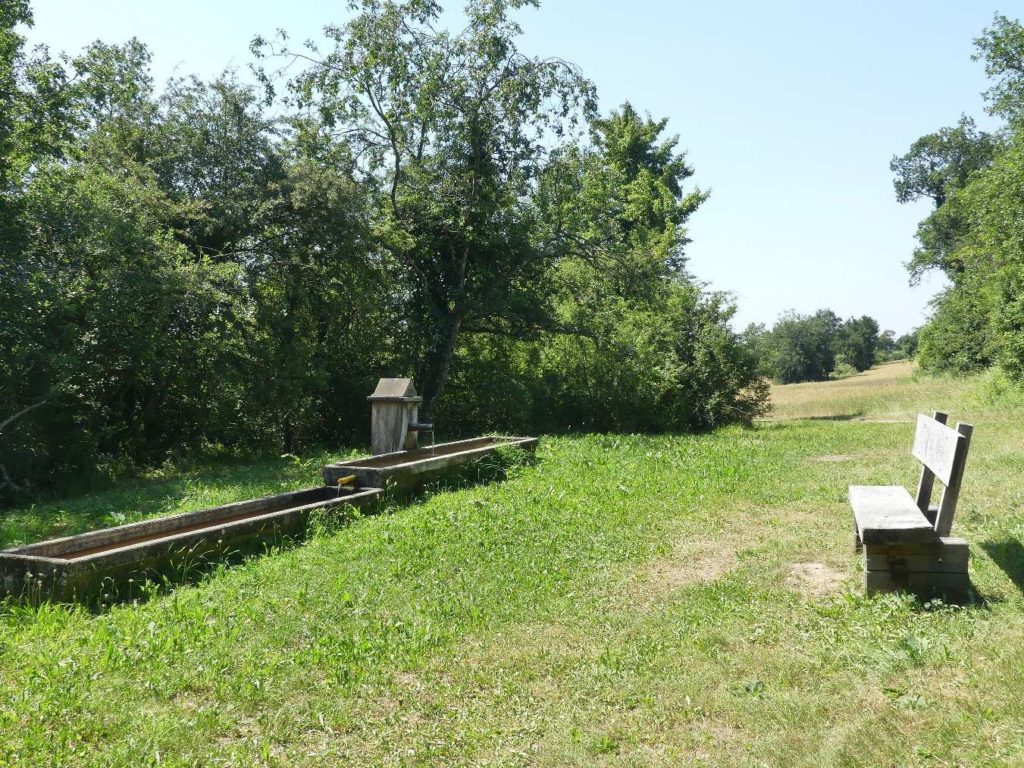banc-632