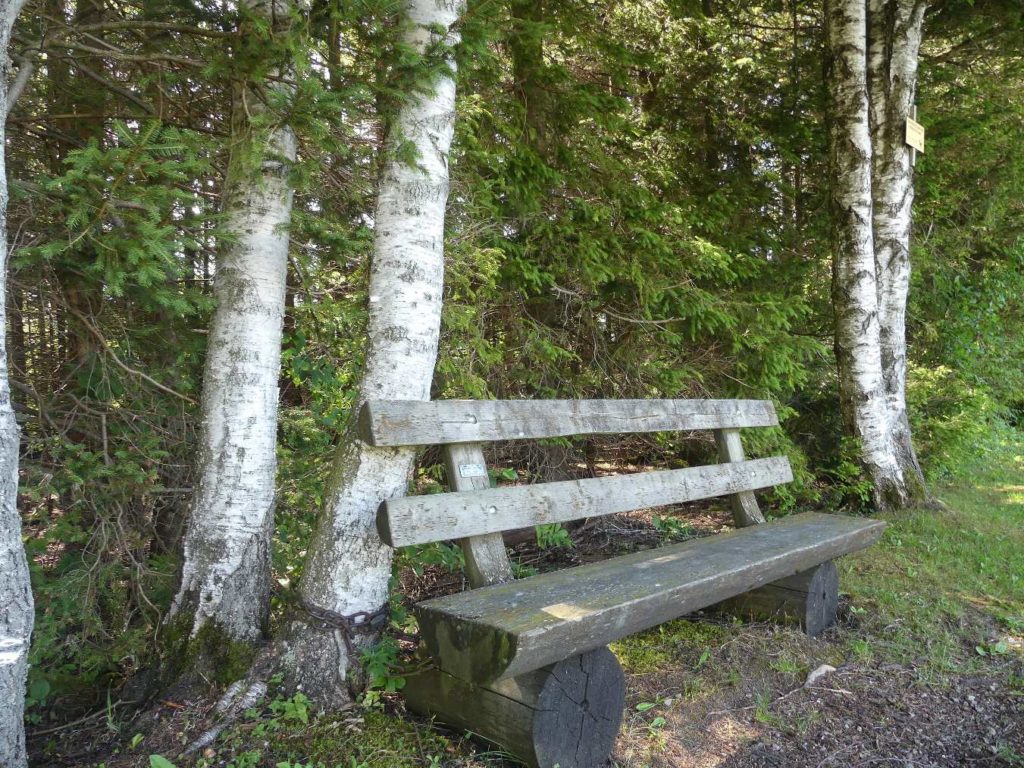 banc-639