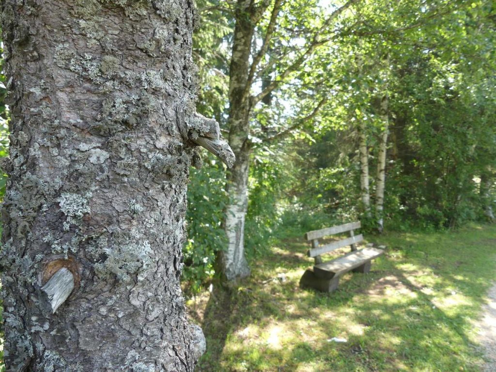 banc-641