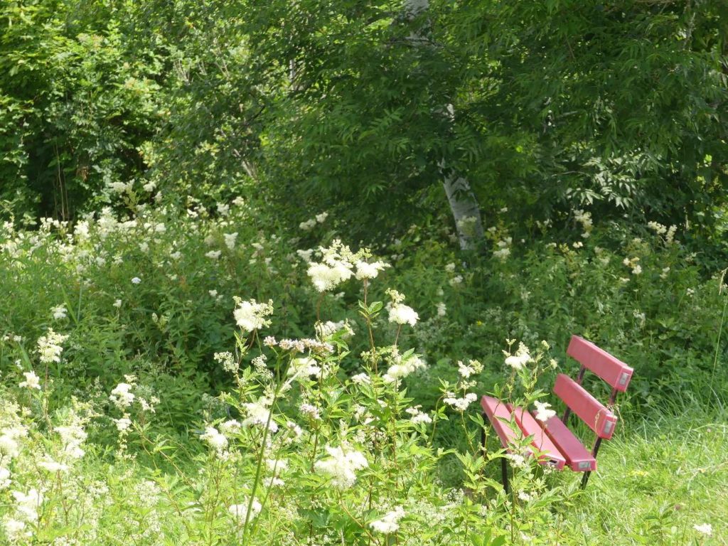 banc-645