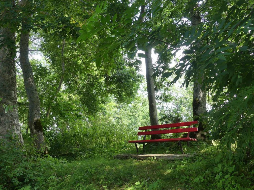 banc-649