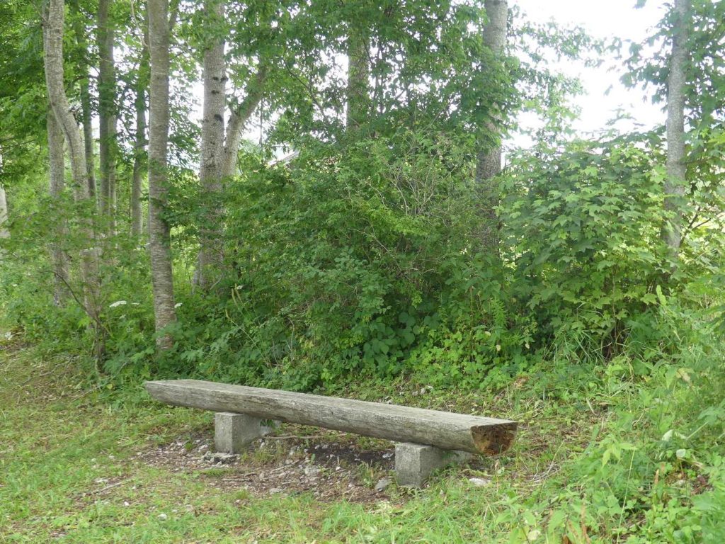 banc-651