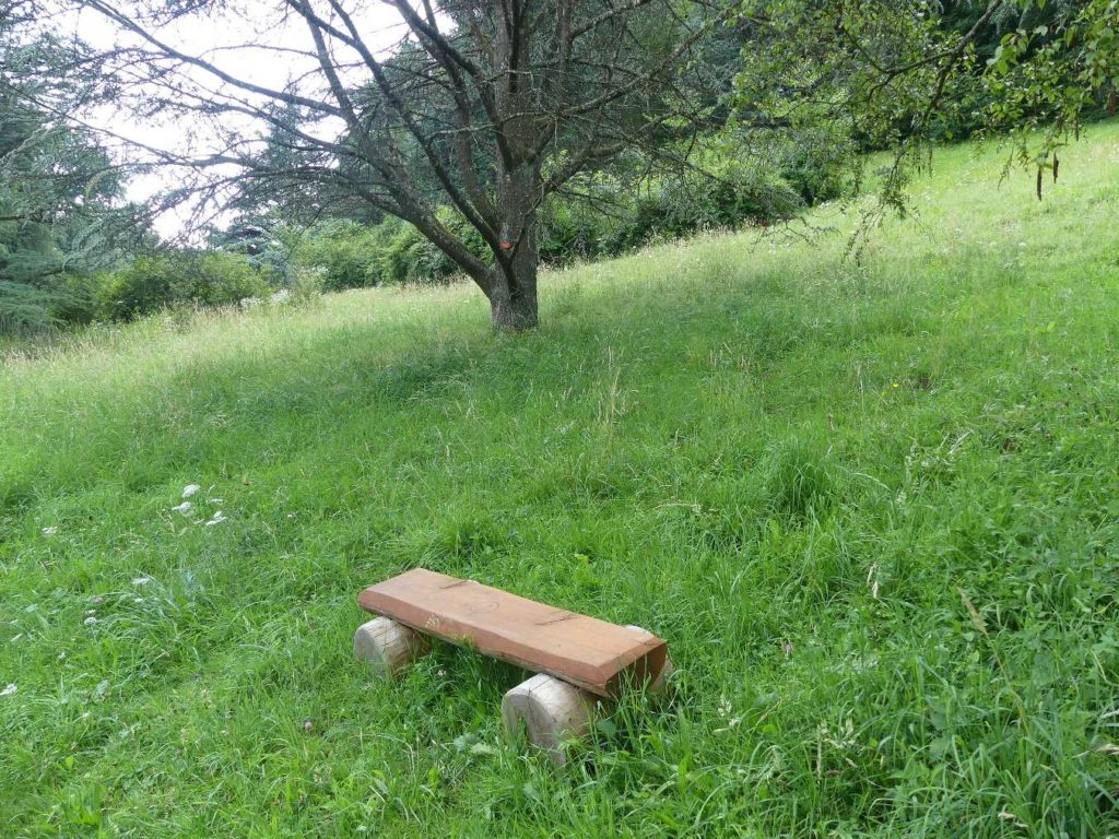 banc-664