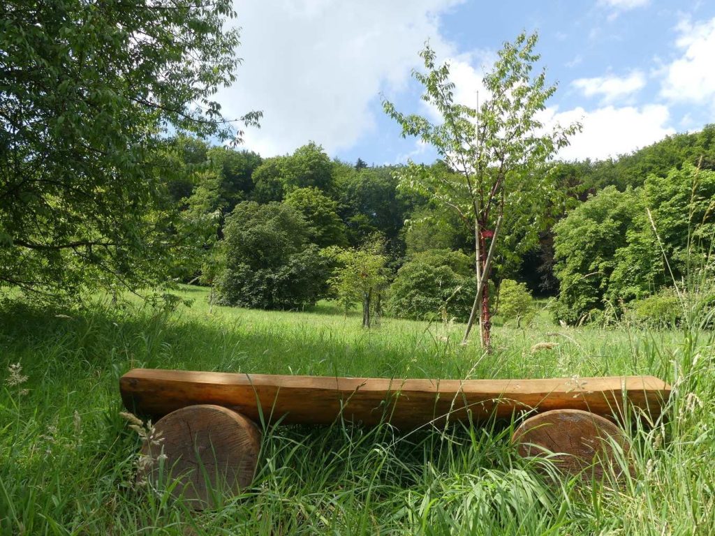 banc-665