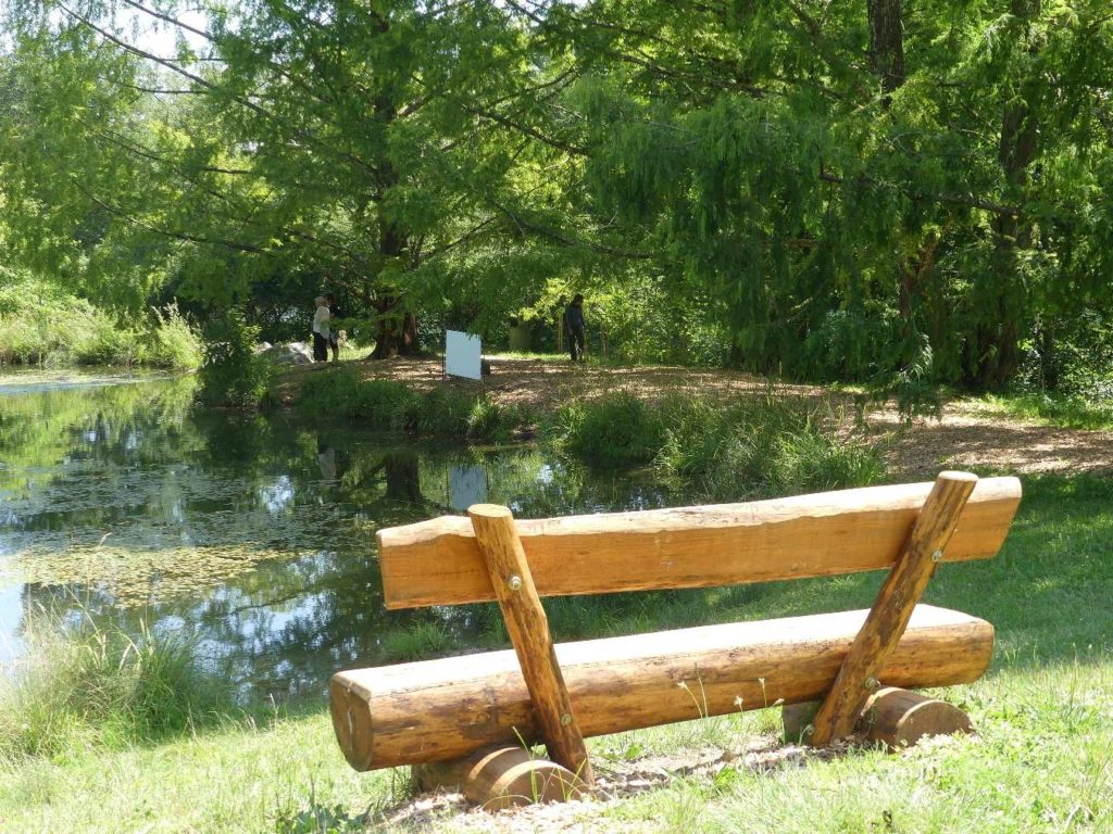 banc-669