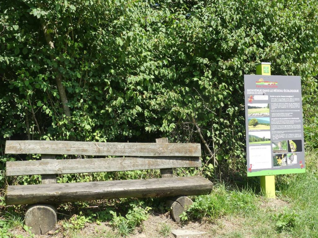 banc-671