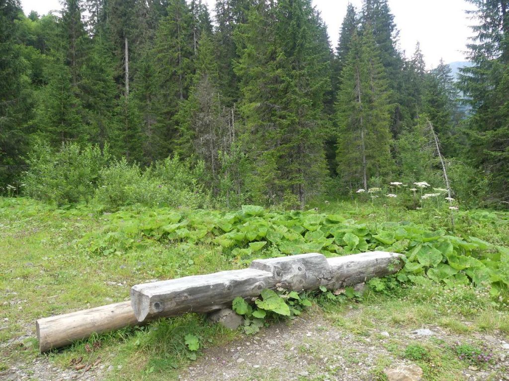 banc-681