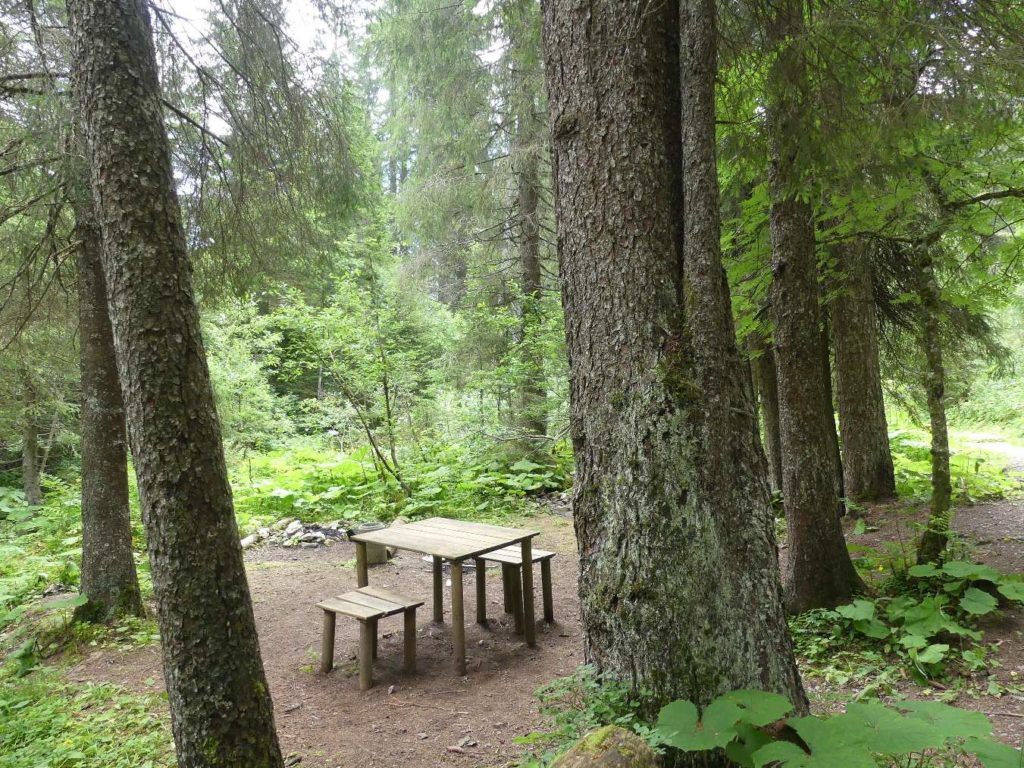 banc-684