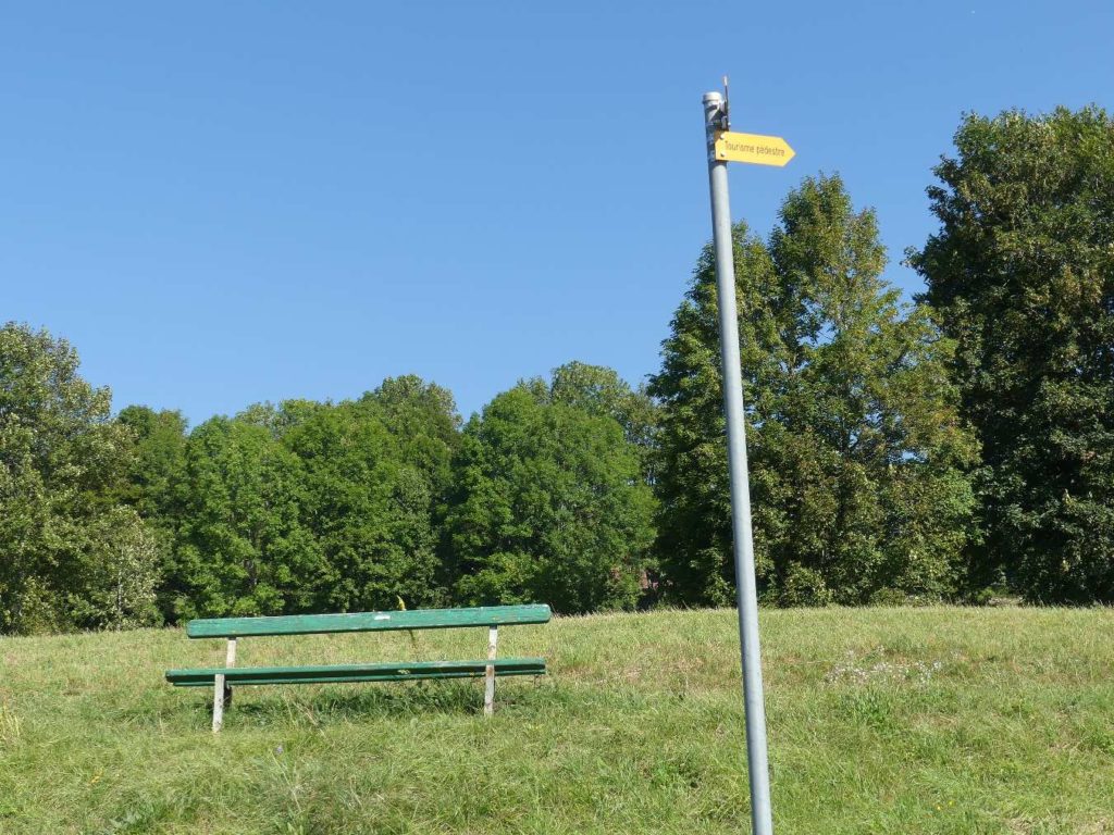 banc-686