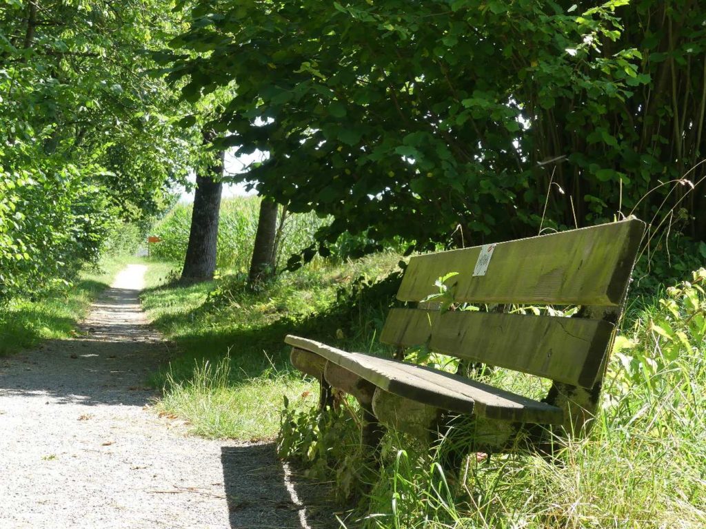banc-694