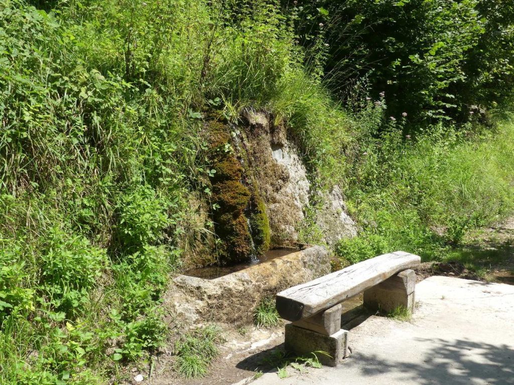 banc-698