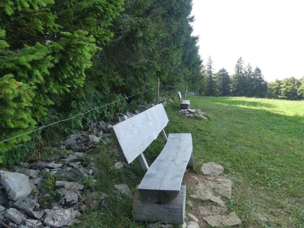 banc-705
