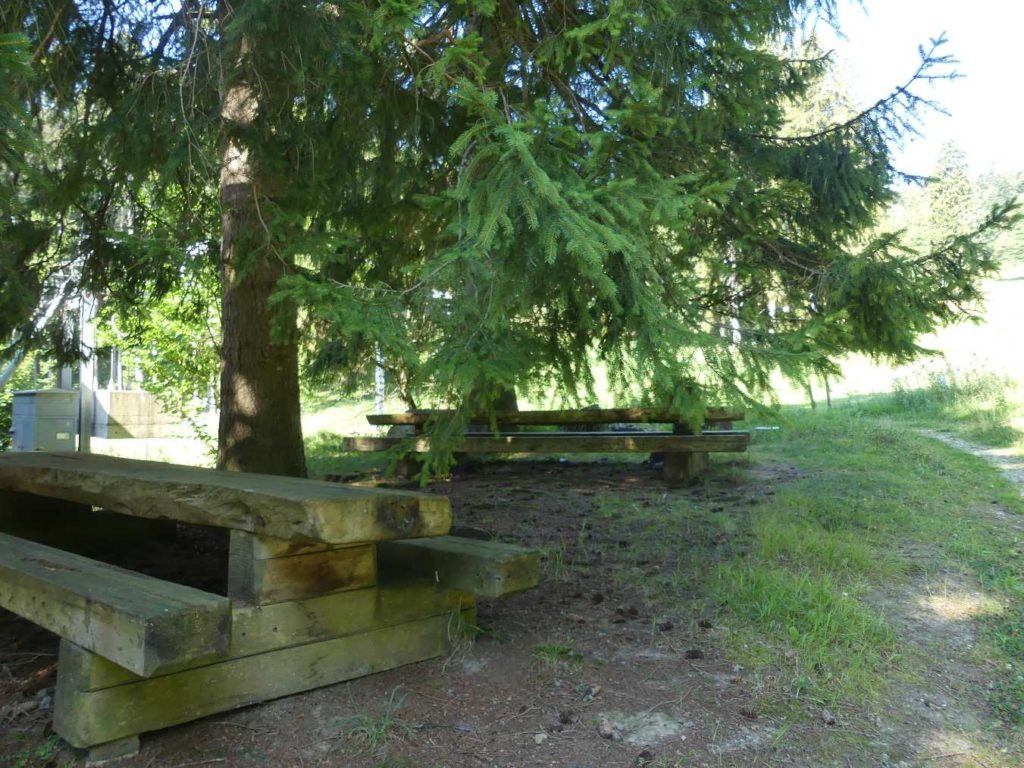 banc-709