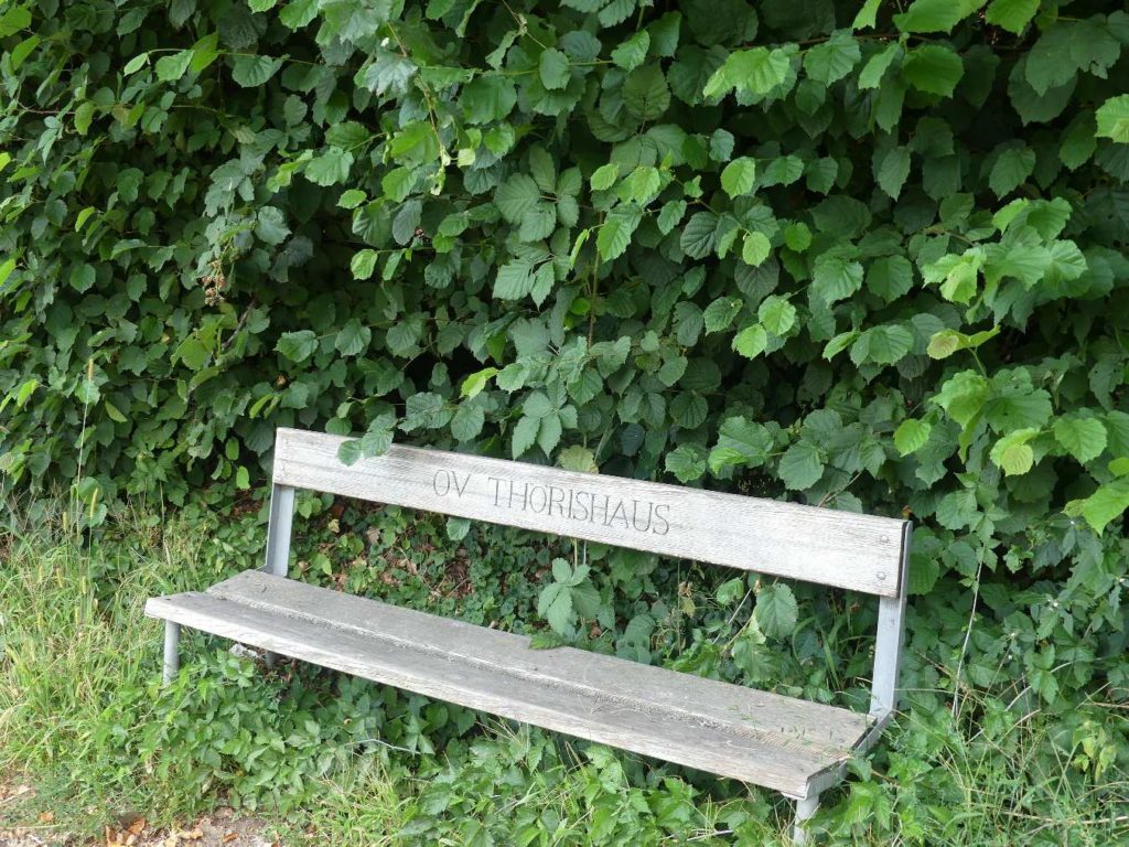 banc-719