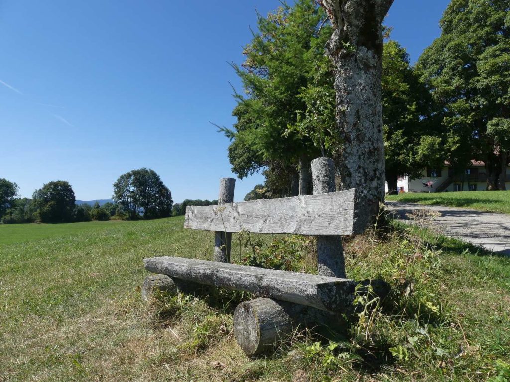 banc-733