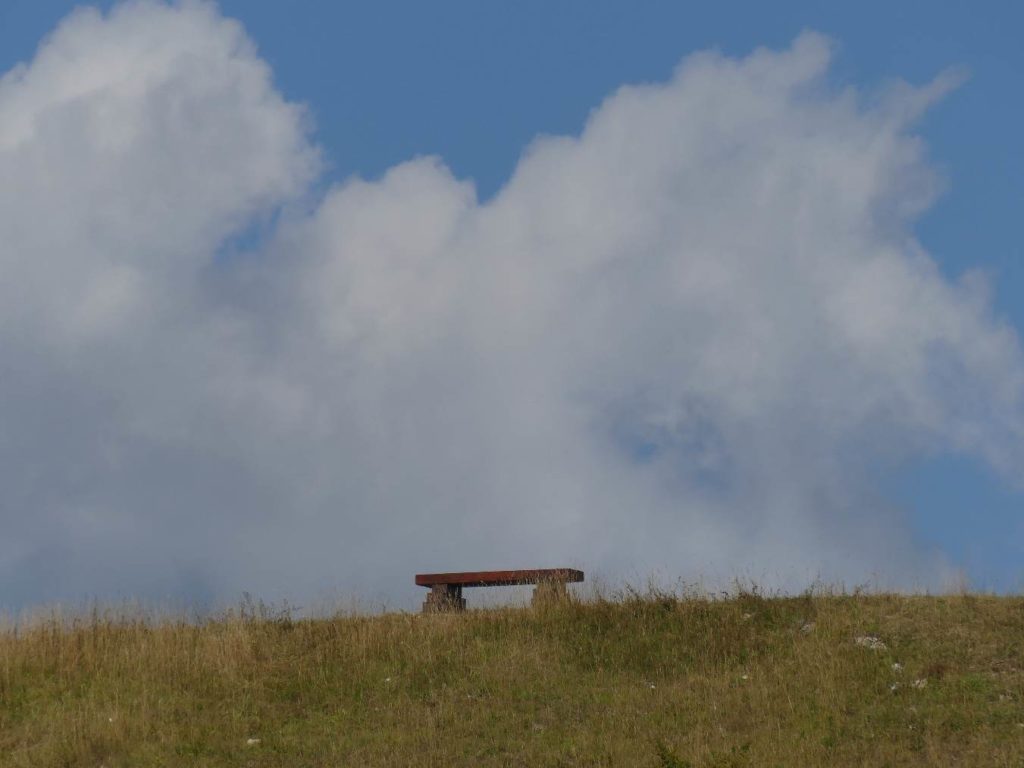 banc-735