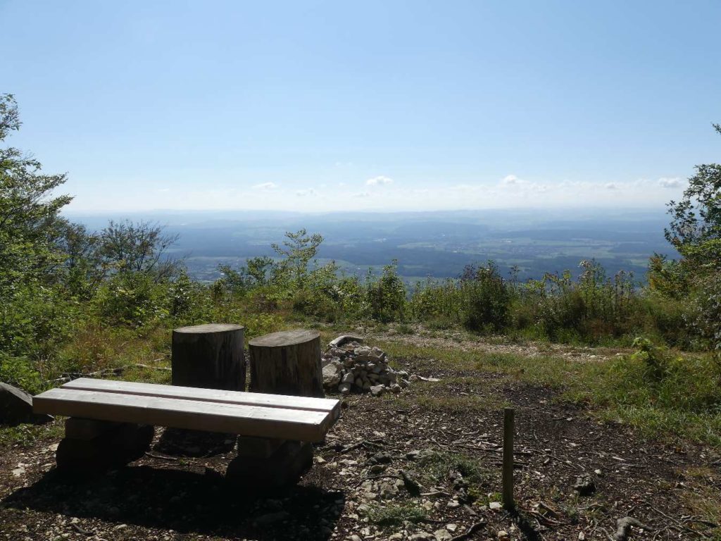 banc-739