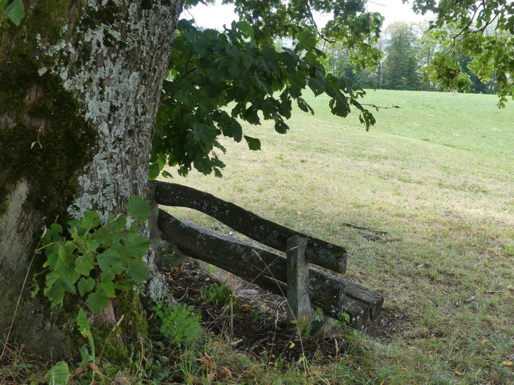 banc-743