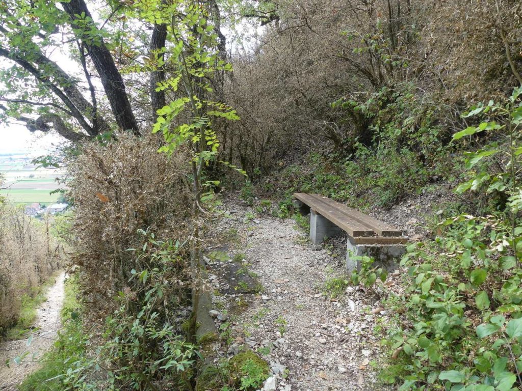 banc-749