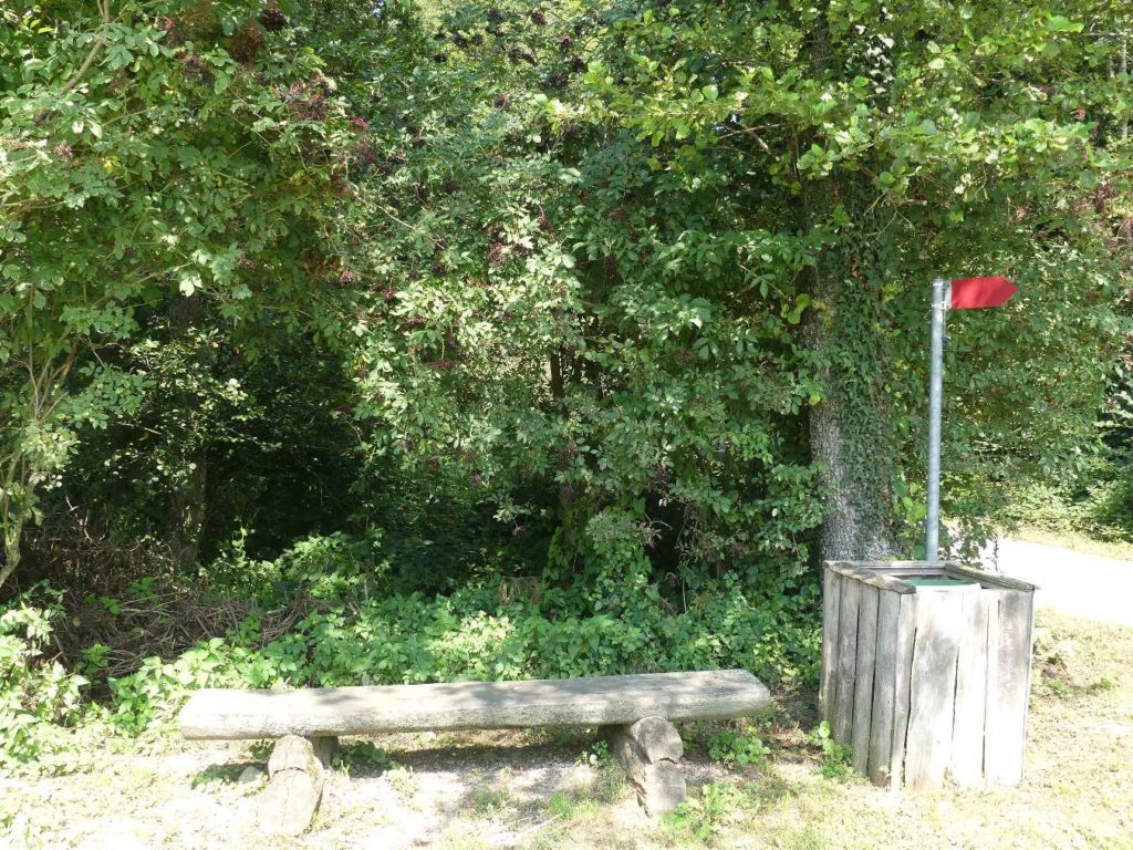 banc-753